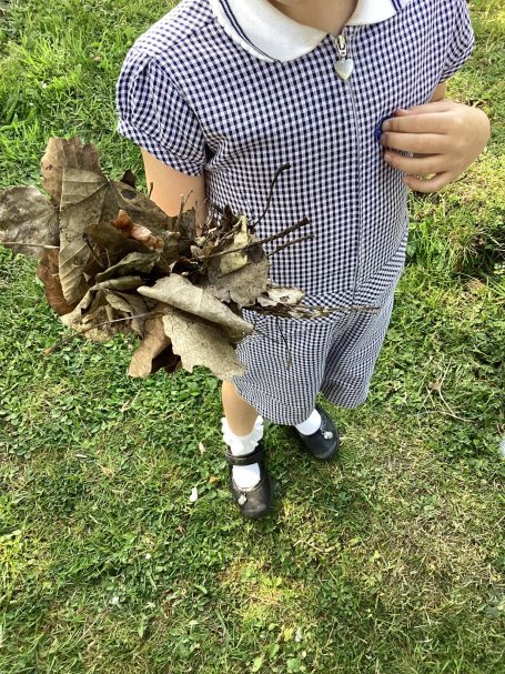 Children collect leaves and create seed balls with volunteers from The Little Land Project